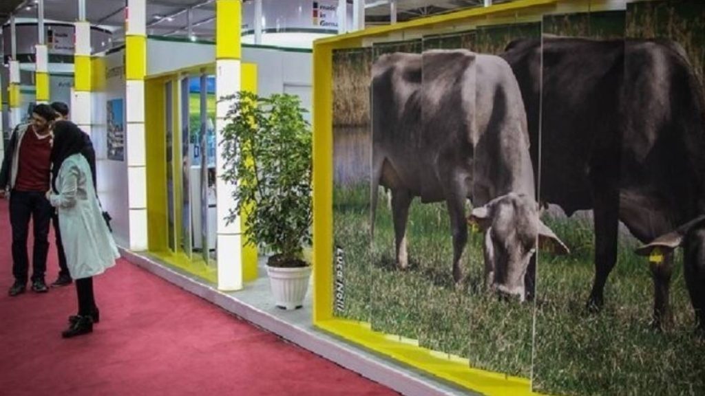 نمایشگاه دام و طیور ۱۴۰۵ 2 نمایشگاه دام و طیور ۱۴۰۵